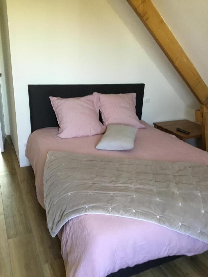 La Malvrais Apartment Janzé Екстериор снимка
